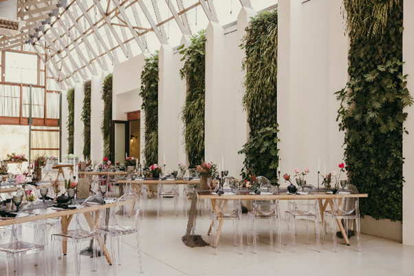 Dog and couple photo 1